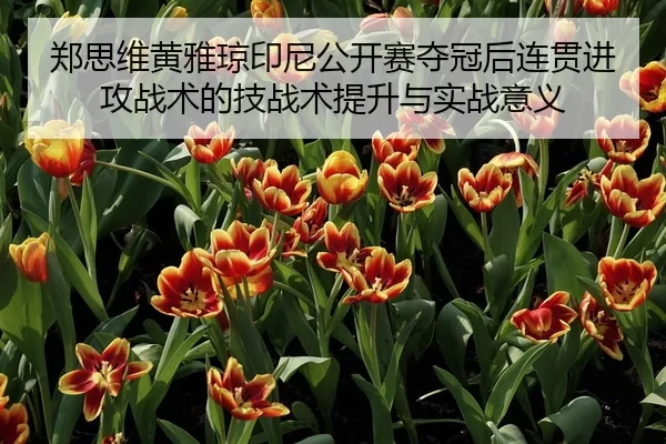 zheng-si-wei-huang-ya-qiong-yin-ni-gong-kai-sai-duo-guan-hou-lian-guan-jin-gong-zhan-shu-de-ji-zhan-shu-ti-sheng-yu-shi-2-404.jpg