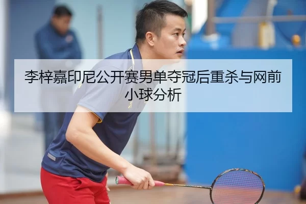 li-zi-jia-yin-ni-gong-kai-sai-nan-dan-duo-guan-hou-zhong-sha-yu-wang-qian-xiao-qiu-fen-xi-2-858.jpg